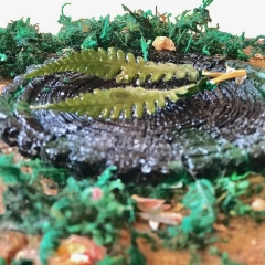 Kolczyki z suszonych liści paprotki „Zakręcone paprotki”