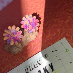 Niepowtarzalne i twarzowe kolczyki kwiatki malowane ręcznie 