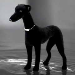 Manekin psa Charcik Włoski