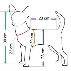 Manekin psa Chihuahua (rudy)