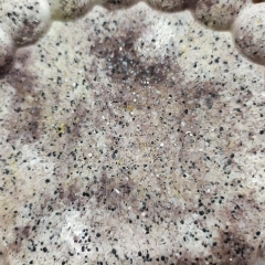 Ręcznie robiona podstawka z gipsu polimerowego- efekt kamienia