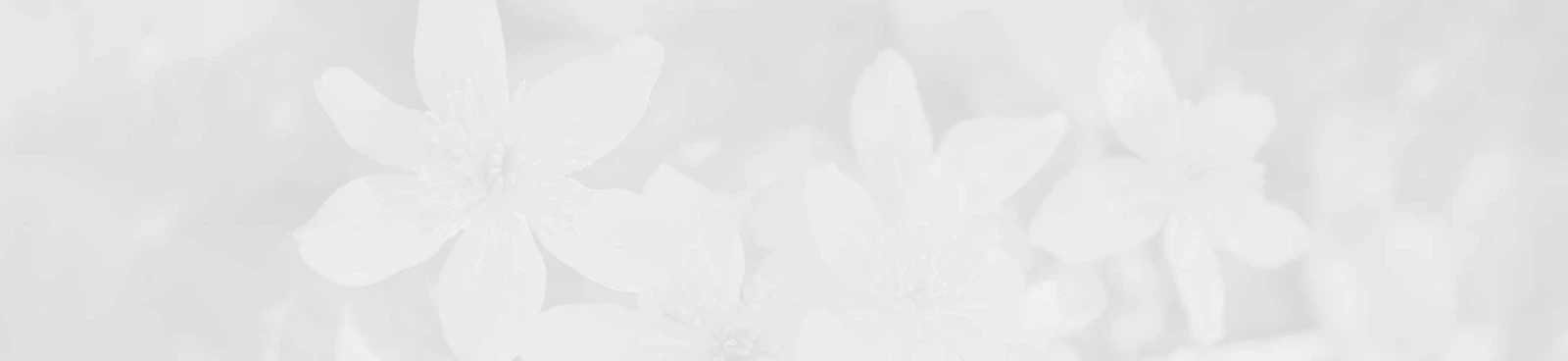 Caltha - natura metalu