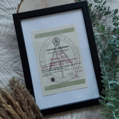 Poplątane Zmalowane